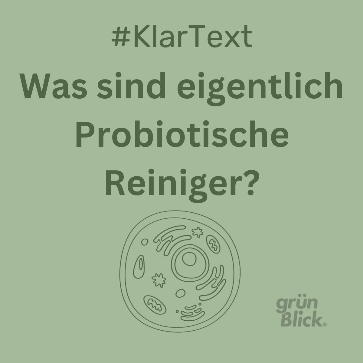Was sind Probiotische Reiniger?